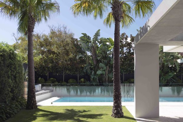 A contemporary residential pool area viewed from a landscaped garden, with a long pale-blue swimming pool, white pool coping, manicured lawn, mature palm trees and lush tropical planting. A white flat-roofed covered outdoor structure with square columns frames the right side of the image. The scene is bright, refined and resort-like.