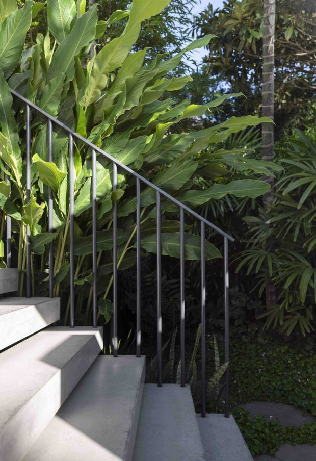 A close-up view of a contemporary outdoor stairway descending through dense tropical planting. The stairs have smooth pale concrete treads and risers, paired with a slim black metal balustrade, creating a strong geometric contrast with the lush green foliage.