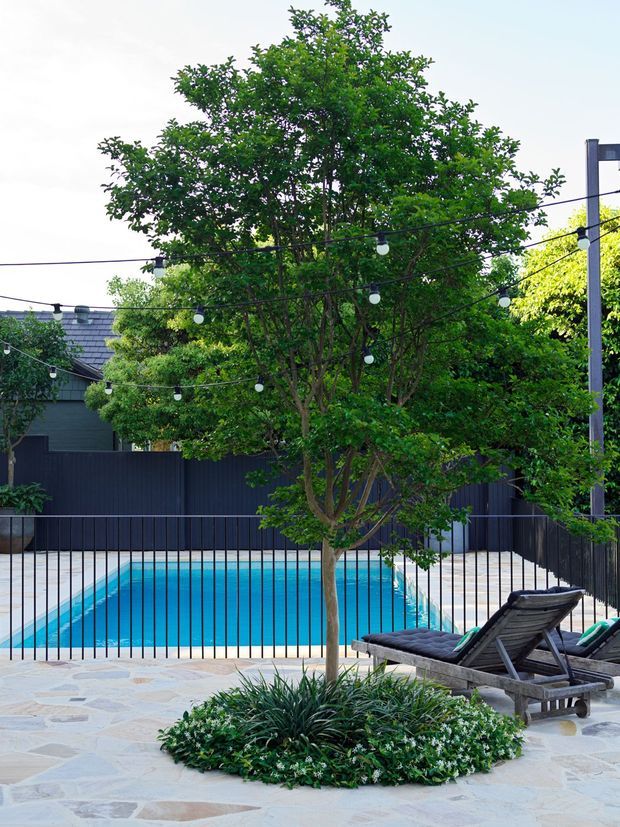 A landscaped residential pool area with a bright blue rectangular swimming pool enclosed by a slim black metal fence. The foreground features irregular pale stone paving, a circular planted tree bed, lounge chairs, and overhead string lights. Dense greenery and dark fencing create a private courtyard-like outdoor setting.