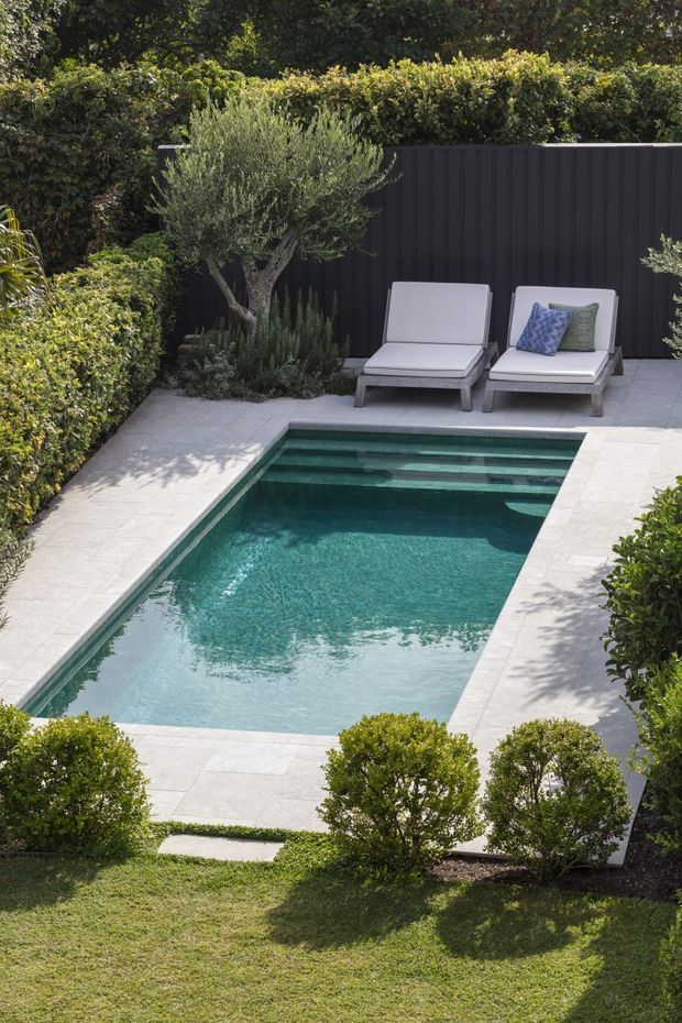 A landscaped outdoor pool courtyard featuring a narrow rectangular swimming pool with dark green-blue water, surrounded by pale stone paving. Two cushioned sun loungers sit at the far end against a dark vertical-panel privacy fence, with dense clipped hedges, ornamental shrubs, and a small olive-like tree creating a secluded garden setting.