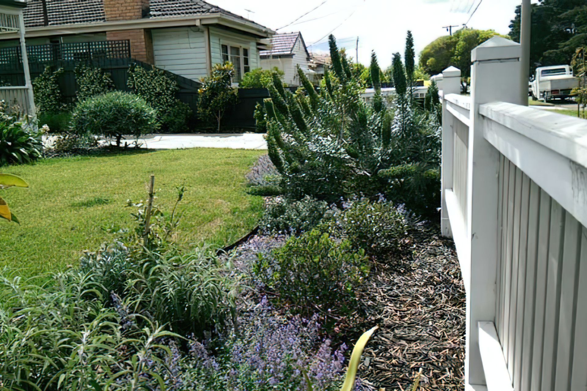 Front garden AFTER design