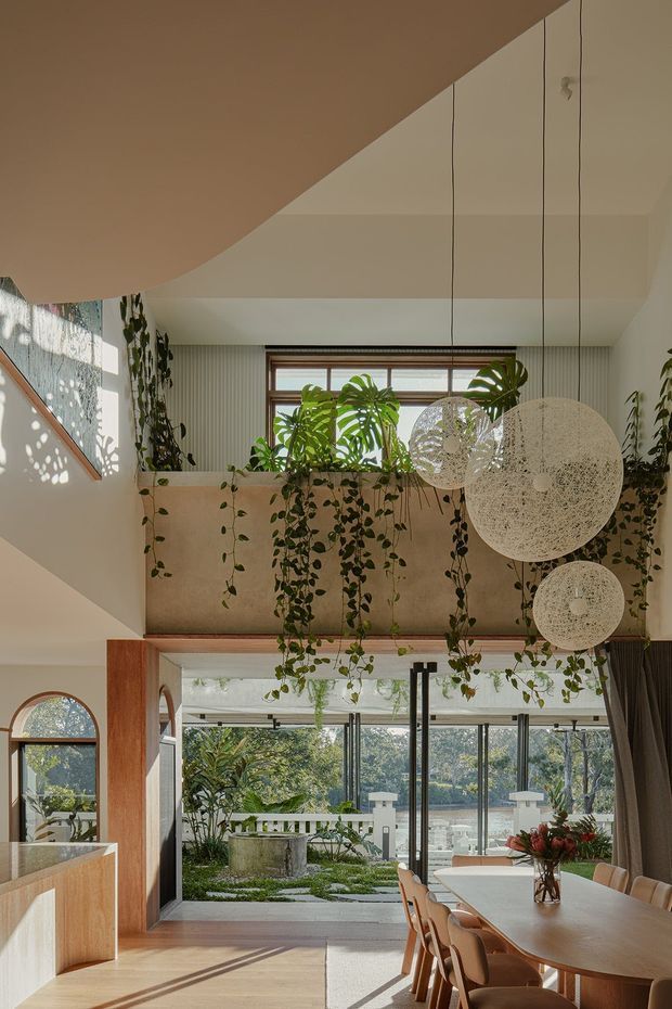 A bright, double-height dining and living space with extensive glazing opening toward a landscaped courtyard. The room features warm timber-framed windows and joinery, pale walls, abundant trailing indoor plants, a large dining table with timber chairs, and sculptural spherical pendant lights suspended from the high ceiling. A stair and mezzanine-like upper level frame the space, creating a leafy, airy indoor-outdoor atmosphere.