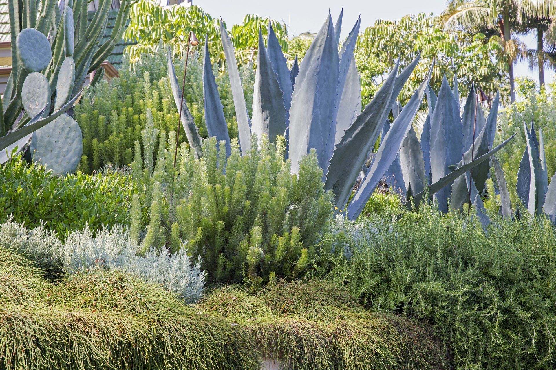 An Entertainer's Garden