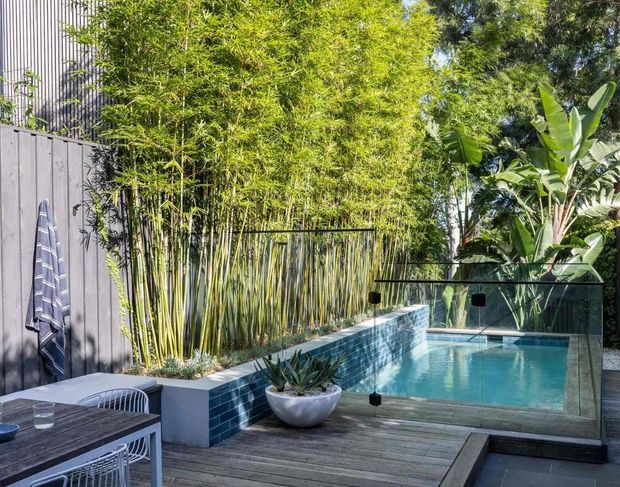 A compact tropical courtyard pool area with a raised, blue-tiled water feature and swimming pool enclosed by clear glass balustrades. Timber decking, dark vertical fencing, dense bamboo screening, banana plants and agave-style planting create a private outdoor setting, with a small dining table and chairs in the foreground.