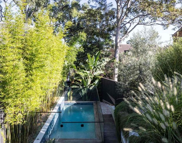 A narrow landscaped backyard with a compact rectangular swimming pool, timber decking and stepping surfaces, dark privacy fencing, lush bamboo and tropical planting, ornamental grasses, and mature trees. The pool is viewed lengthwise through dense greenery in bright natural daylight.