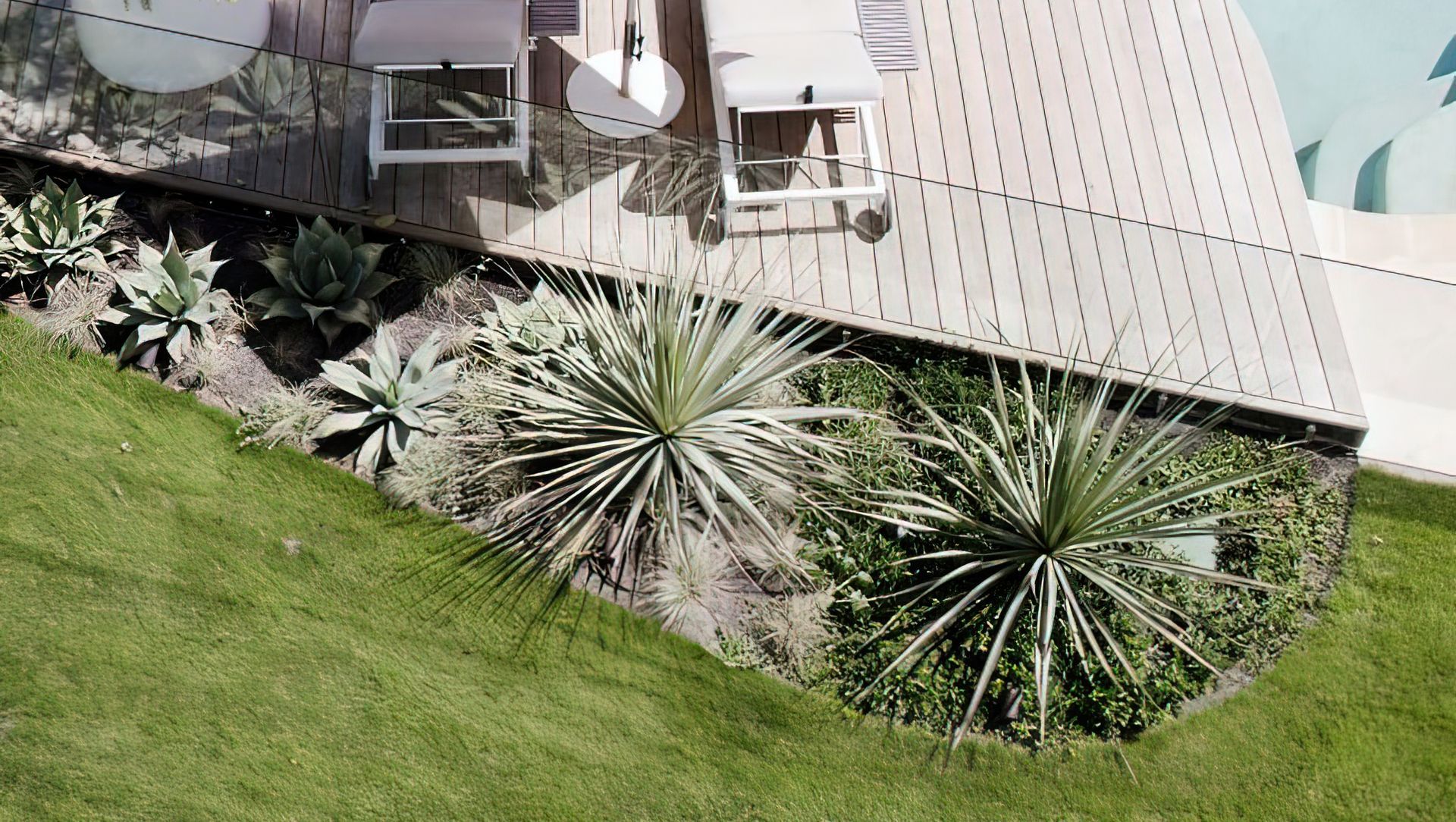 California Dreamin' banner