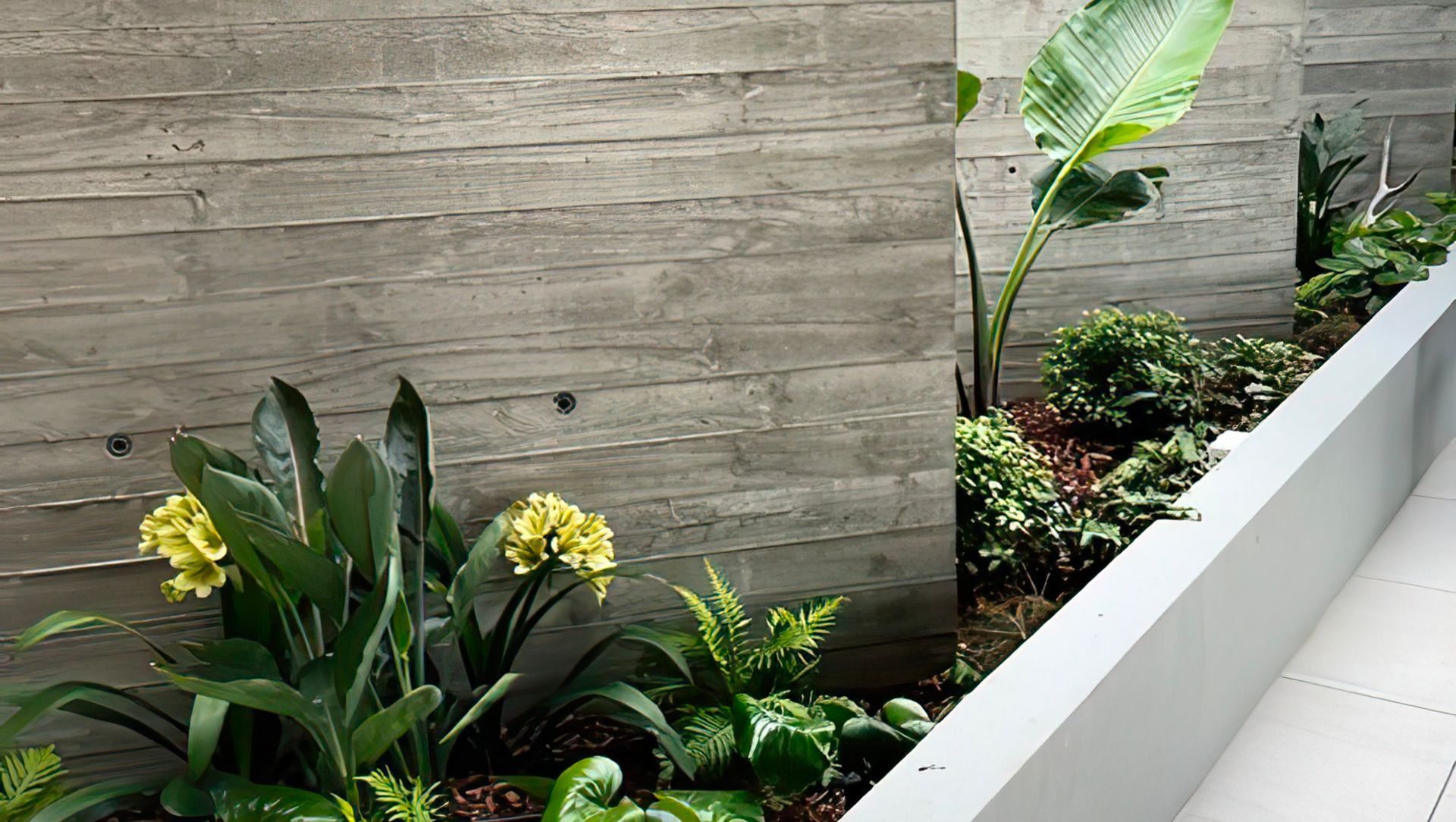 Mid Century Entertainer banner