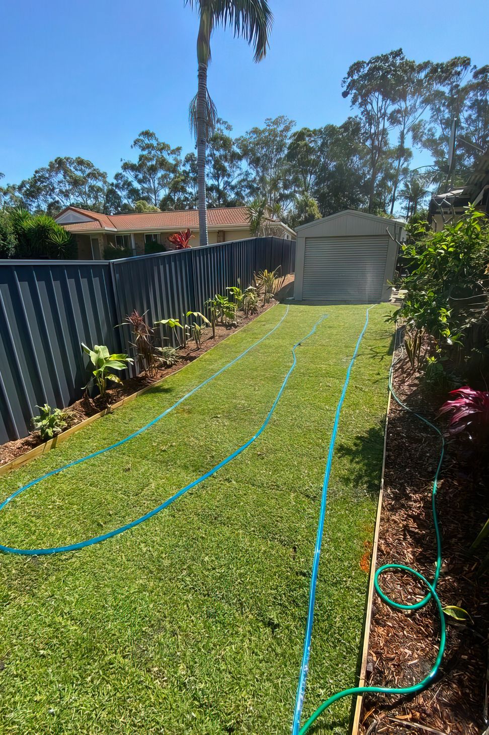 Little Mountain Garden Upgrade