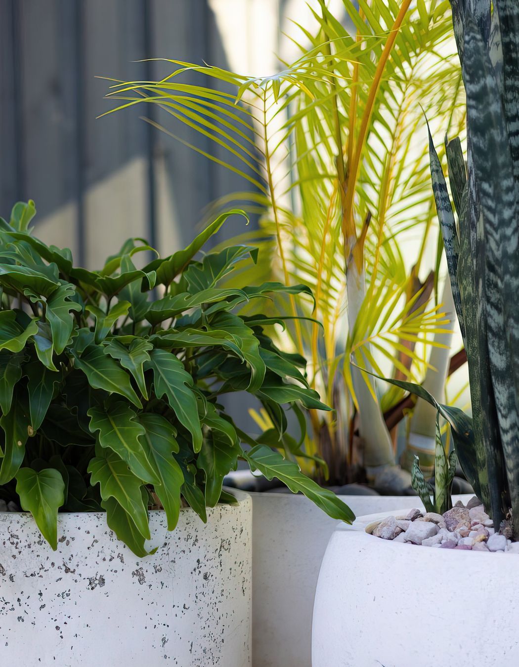 Alex Heads - Tropical Refresh