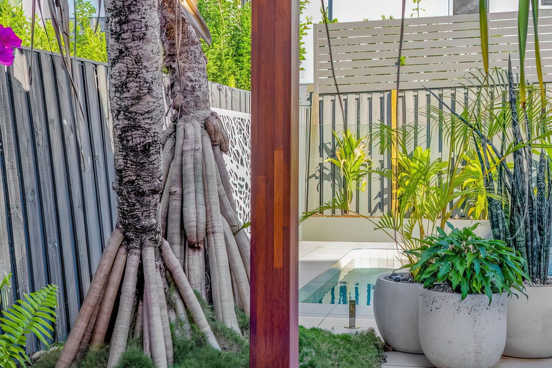 Alex Heads - Tropical Refresh