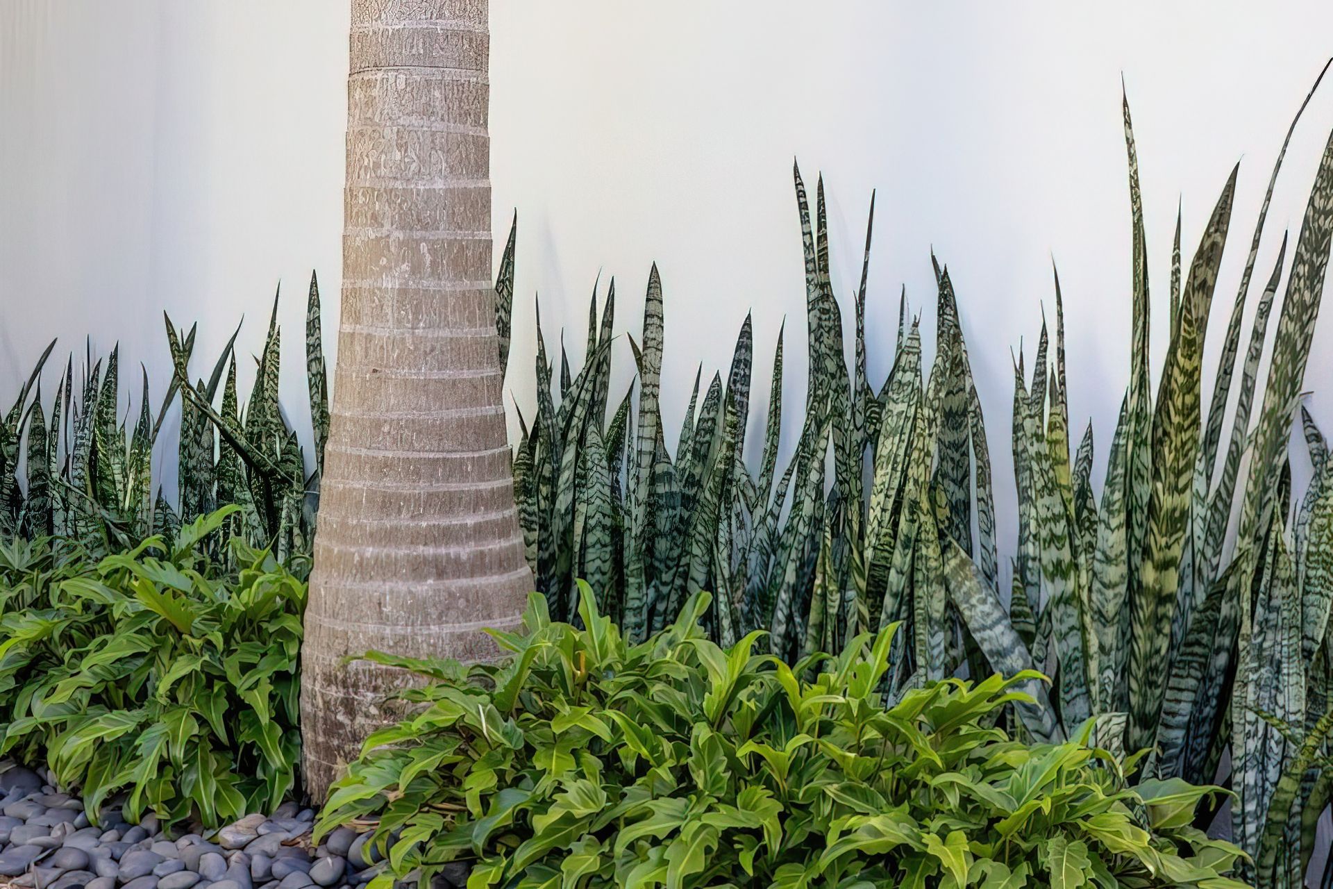 Alex Heads - Tropical Refresh