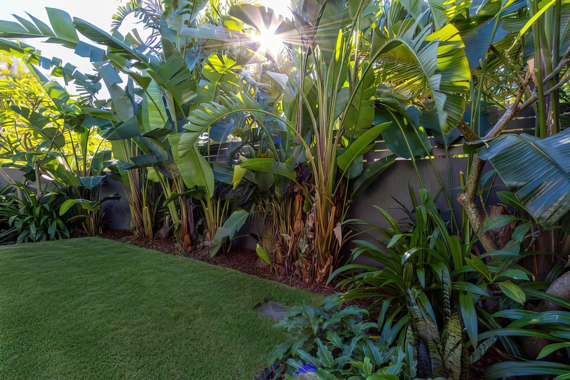 Alex Heads - Tropical Refresh