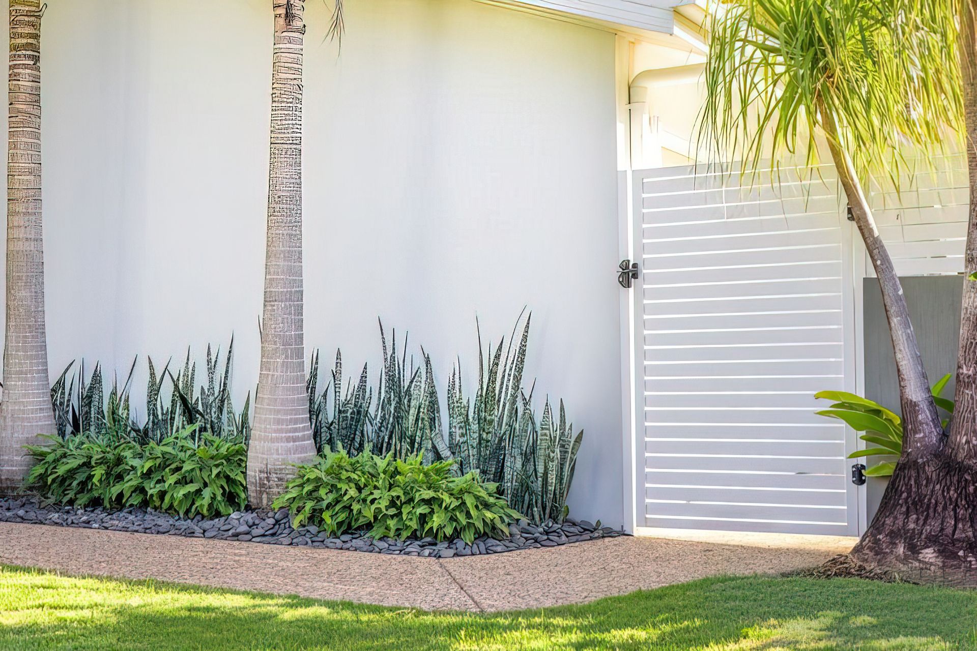 Alex Heads - Tropical Refresh