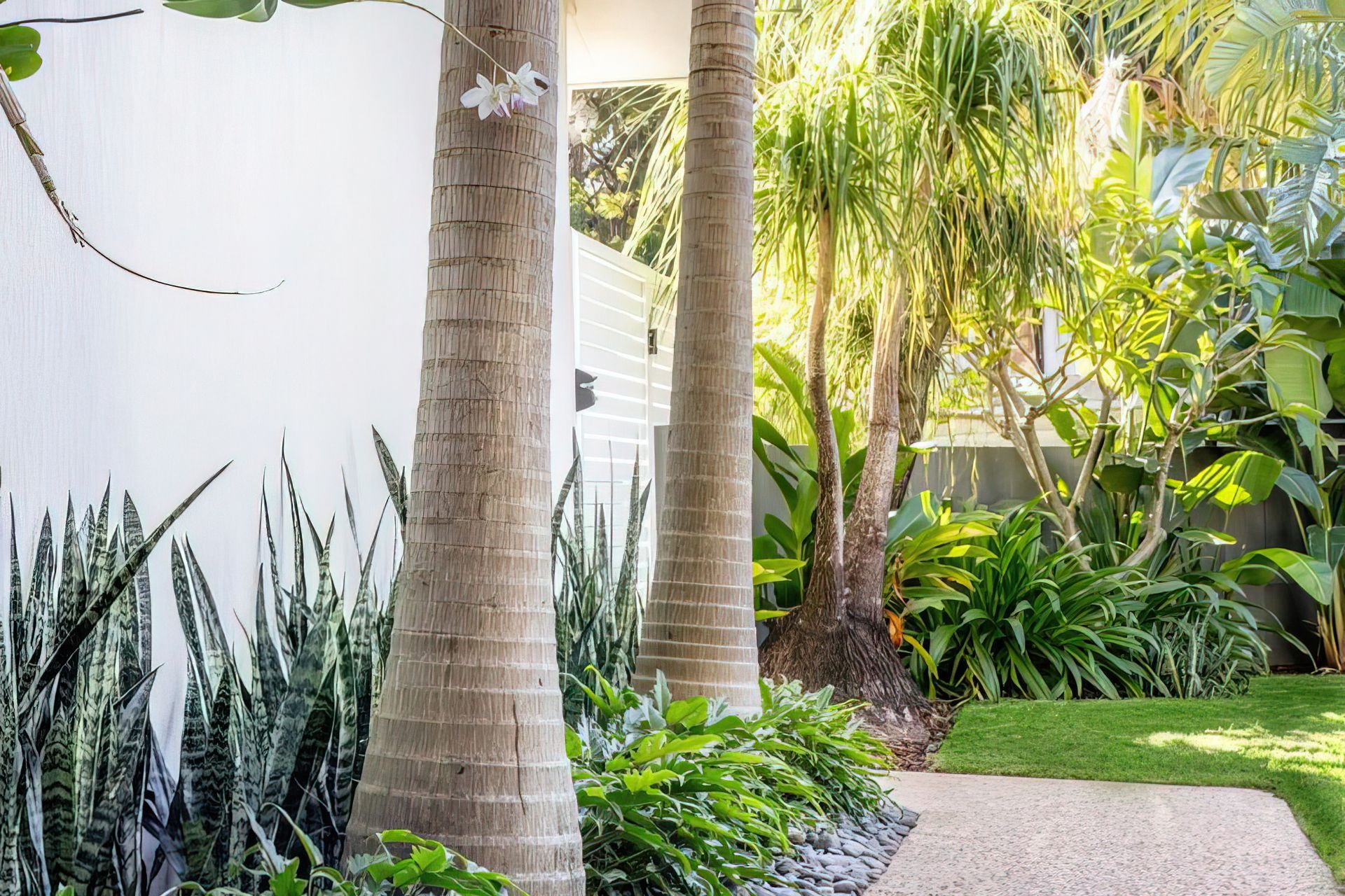 Alex Heads - Tropical Refresh