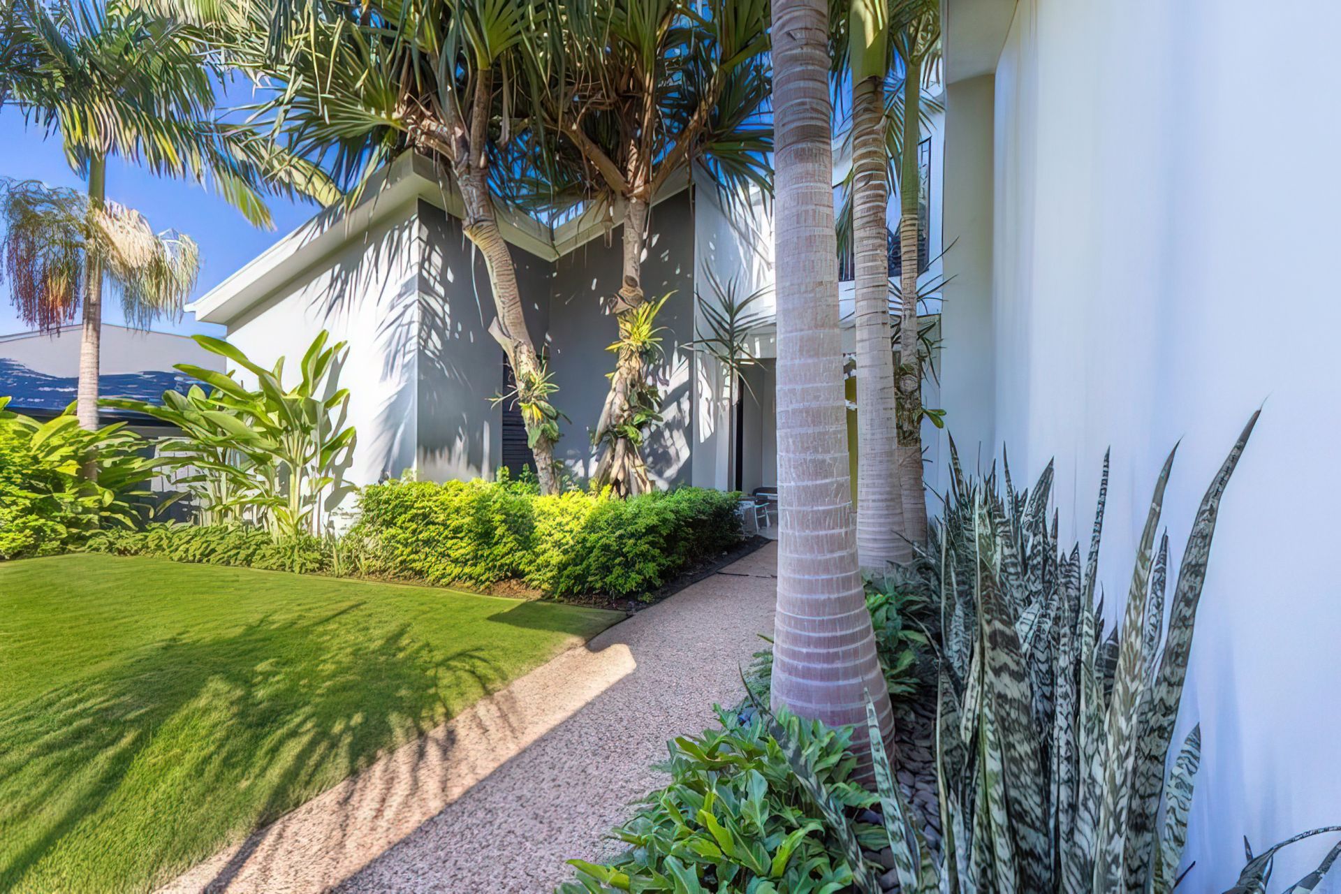 Alex Heads - Tropical Refresh