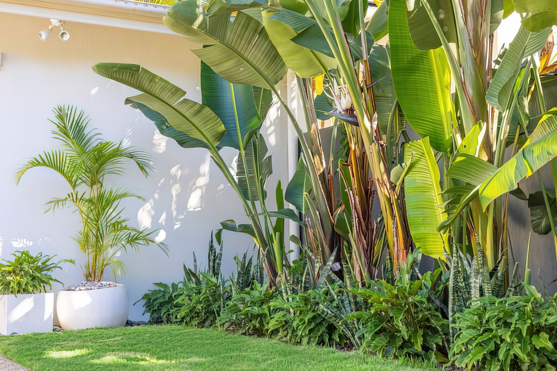 Alex Heads - Tropical Refresh