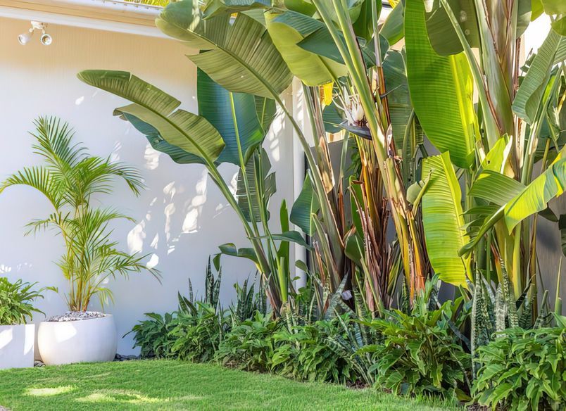 Alex Heads - Tropical Refresh