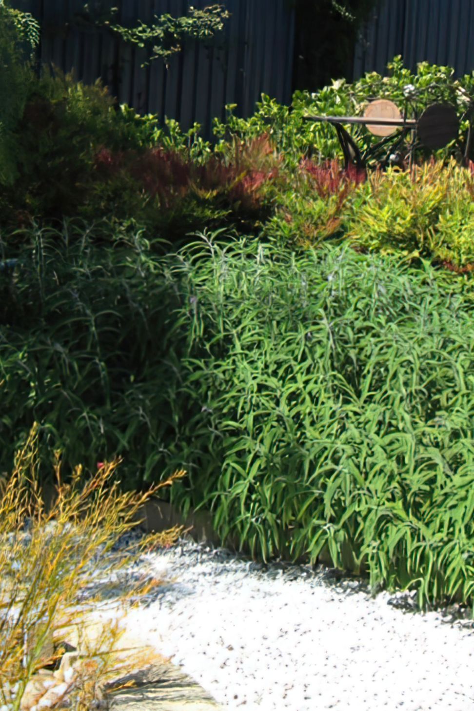 Springvale Garden