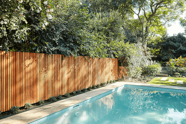 A sunlit residential pool area with a turquoise swimming pool in the foreground, bordered by pale paving and a tall vertical timber privacy fence. Dense mature planting, ornamental shrubs, and trees surround the pool, creating a lush, secluded garden setting.