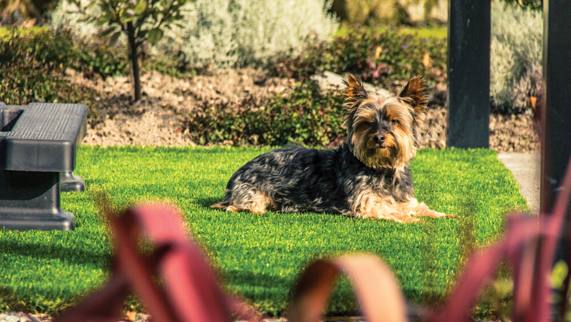 Spa Surround Artificial Lawn banner