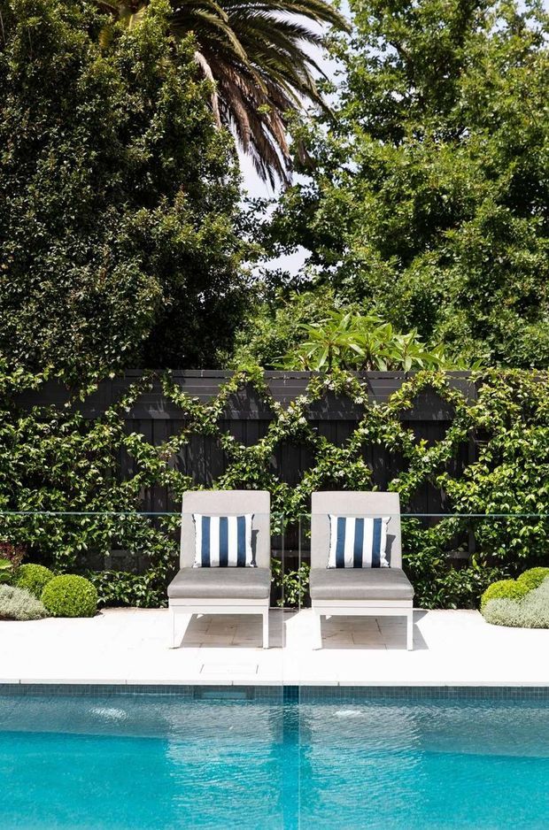 A bright outdoor pool area with two modern lounge chairs positioned on a pale paved pool deck. A dark timber privacy fence covered with climbing greenery forms the backdrop, with dense mature planting and palm foliage surrounding the space. The turquoise swimming pool occupies the foreground.