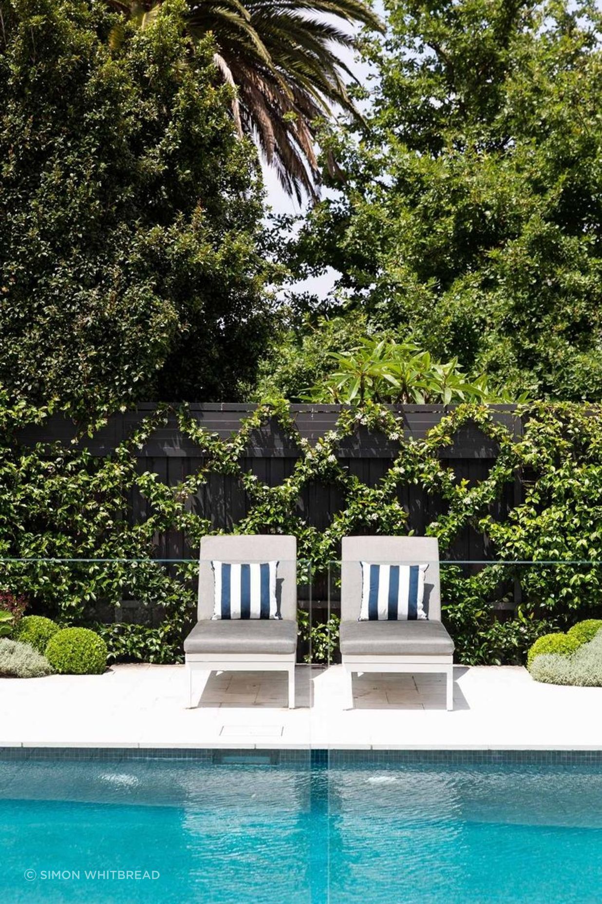 Concord Garden by Garden Society ArchiPro AU