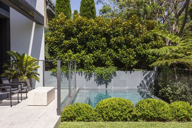 A modern residential courtyard viewed from a pale stone terrace, with dark-framed glazing, a glass balustrade, and a compact rectangular swimming pool enclosed by lush hedging and mature greenery. The building facade has clean lines and a restrained neutral palette, creating a private landscaped outdoor setting.