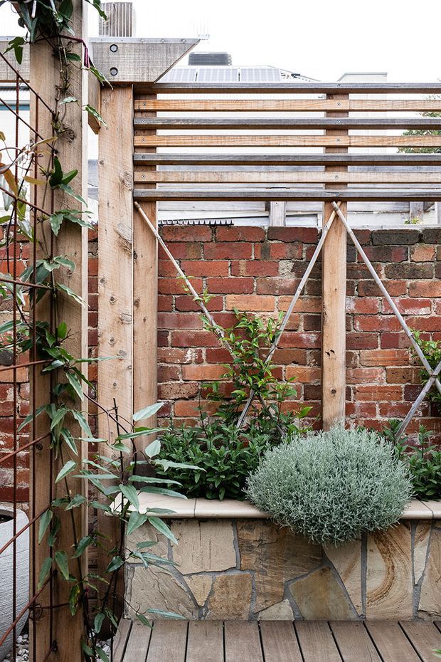 A compact landscaped courtyard or garden area with a raised stone-clad planter, timber decking, a red brick boundary wall, timber trellis and slatted screening, and climbing and potted greenery. The image has a warm, textured urban garden character, with neighbouring rooflines visible beyond the screen.