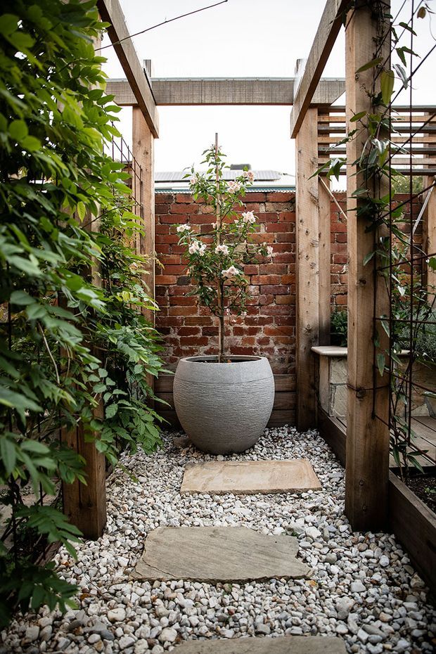 A narrow landscaped courtyard walkway enclosed by timber pergola framing and trellis structures. White gravel covers the ground with irregular stepping stones leading to a large rounded grey planter containing a flowering tree. Dense green climbing and leafy plants line the sides, while a weathered red brick wall forms the backdrop. The space has a rustic, intimate garden character with timber beams and slatted screening.