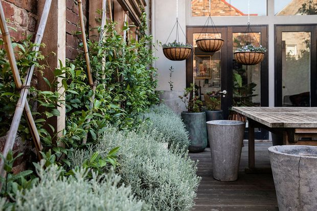 A lush courtyard garden and outdoor dining area enclosed by exposed brick and dark-framed glazing. Dense planted beds, bamboo supports, hanging basket planters, large concrete pots, and a weathered timber dining table create a private, urban garden atmosphere.