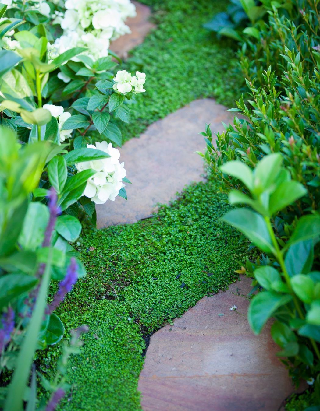 Photography: Leanne Bertram Photography