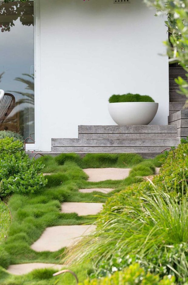 A landscaped residential entrance with irregular pale stepping stones winding through lush, low ornamental grasses and clipped greenery. Weathered timber steps lead to a minimalist white facade and glazed door, with a large white bowl planter on the landing. The scene has a contemporary garden design with naturalistic planting and timber detailing.
