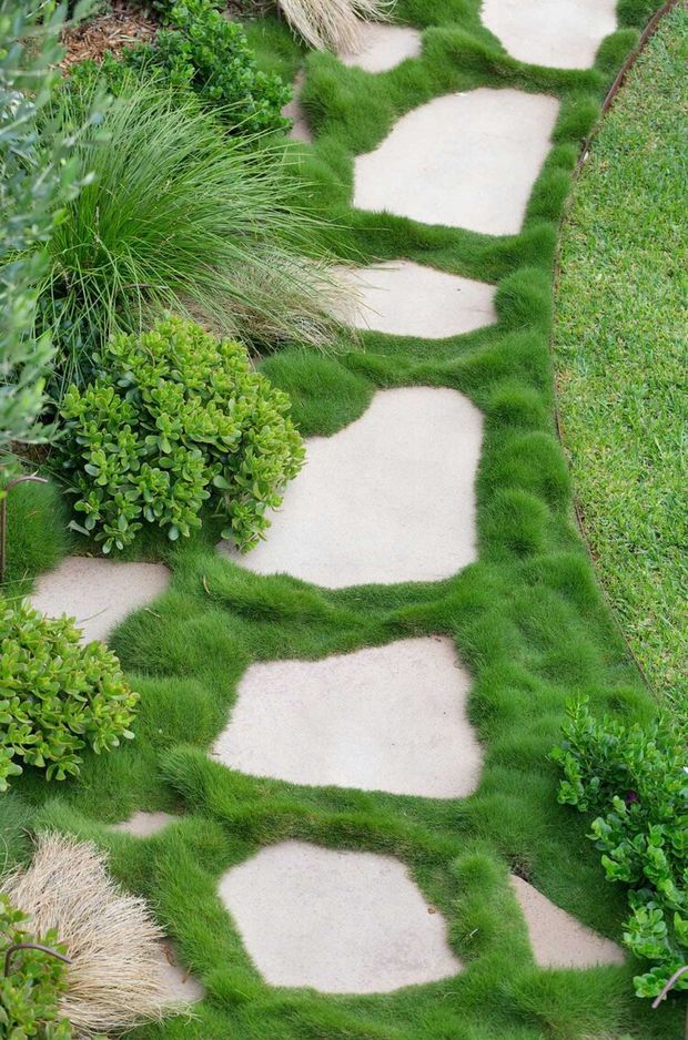 A landscaped garden path made from irregular pale stone stepping slabs, bordered and partly overgrown with lush ornamental grasses and low rounded green shrubs. The path has a soft, organic appearance with dense planting between the stones.
