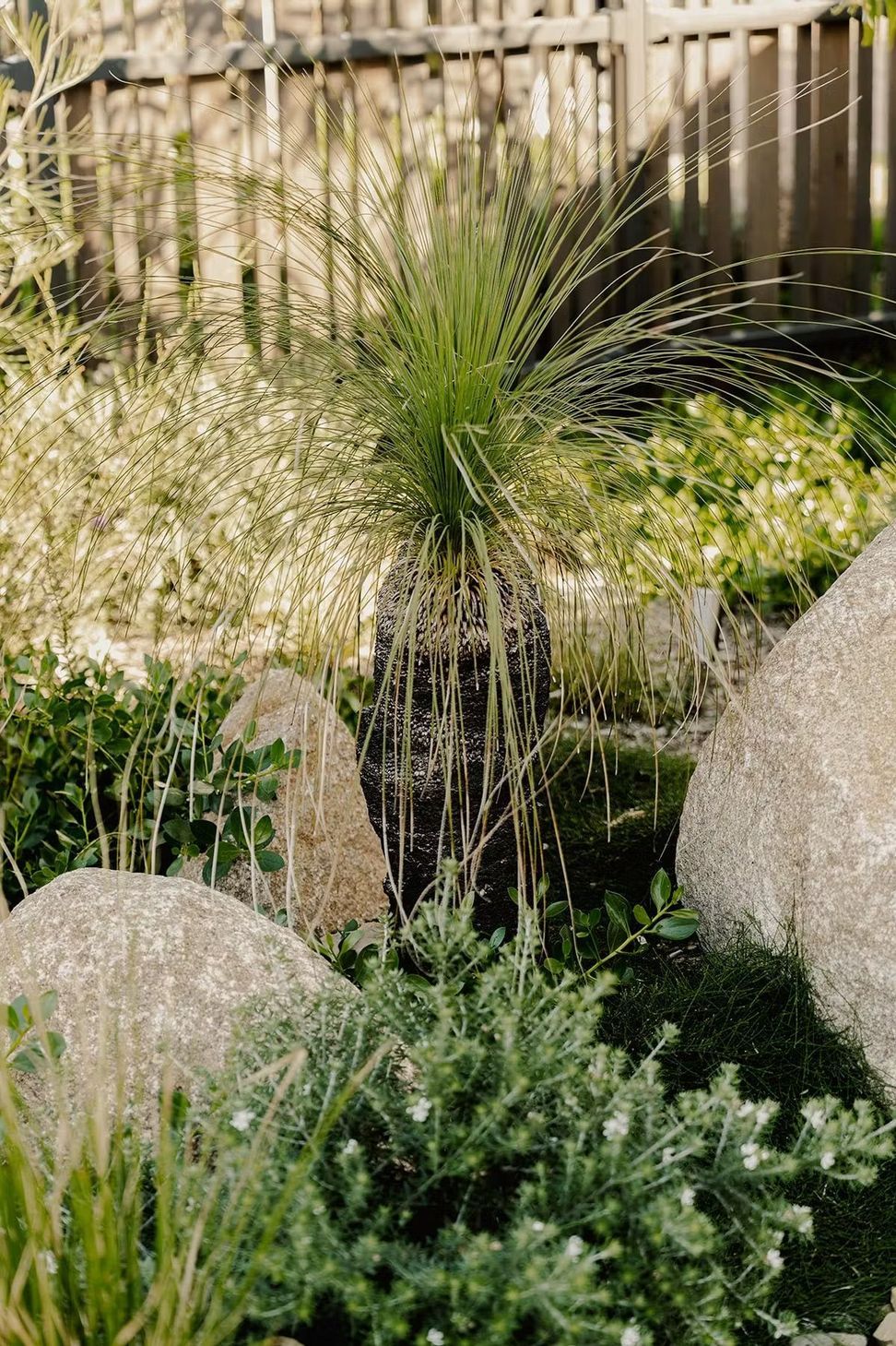 garden-.jpeg
