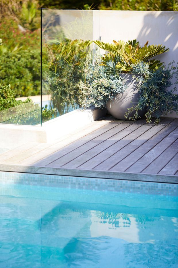 A close-up view of a contemporary outdoor pool edge with clear glass balustrading, a timber decking platform, pale rendered walls, and large potted plants. Bright sunlight reflects across the turquoise pool water and surrounding surfaces.