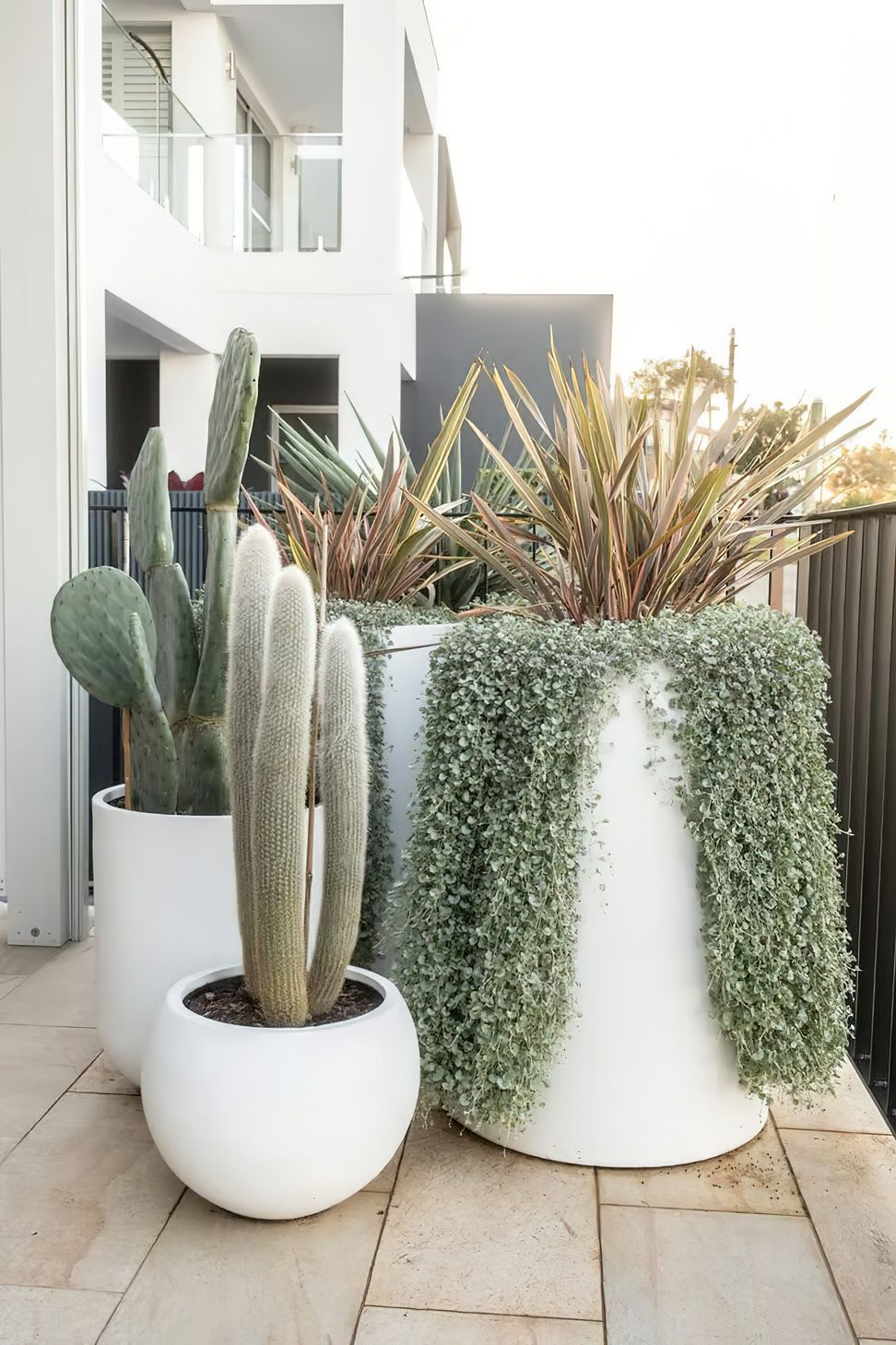 imgi10Balcony-garden-in-Bellevue-Hill-Sydney-By-Vogue-Vine-1-scaled.jpeg