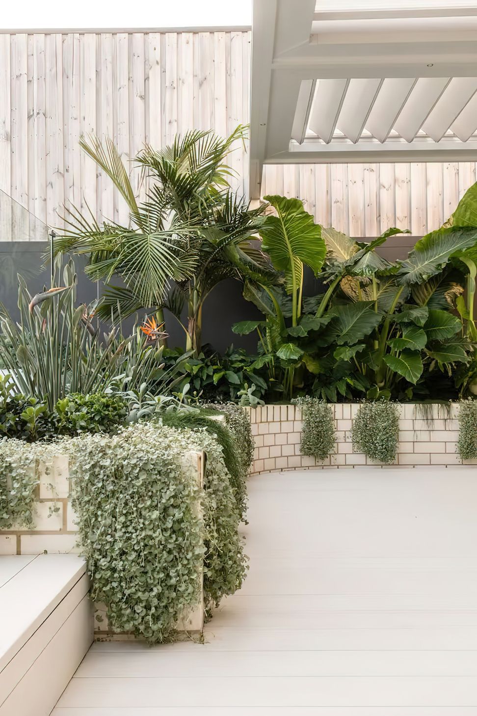 imgi11Back-garden-design-Coogee-By-Vogue-Vine-1-1-scaled.jpeg