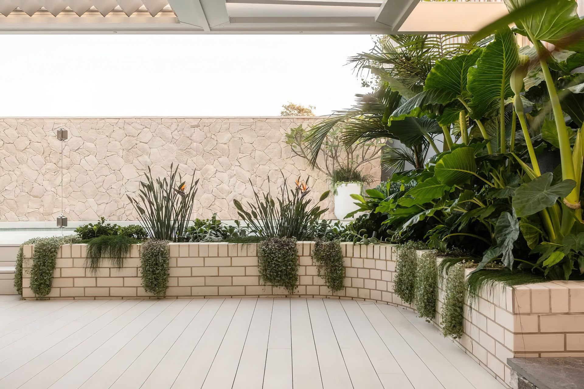 imgi15Coogee-back-garden-design-by-Vogue-Vine-1-scaled-v3.jpeg