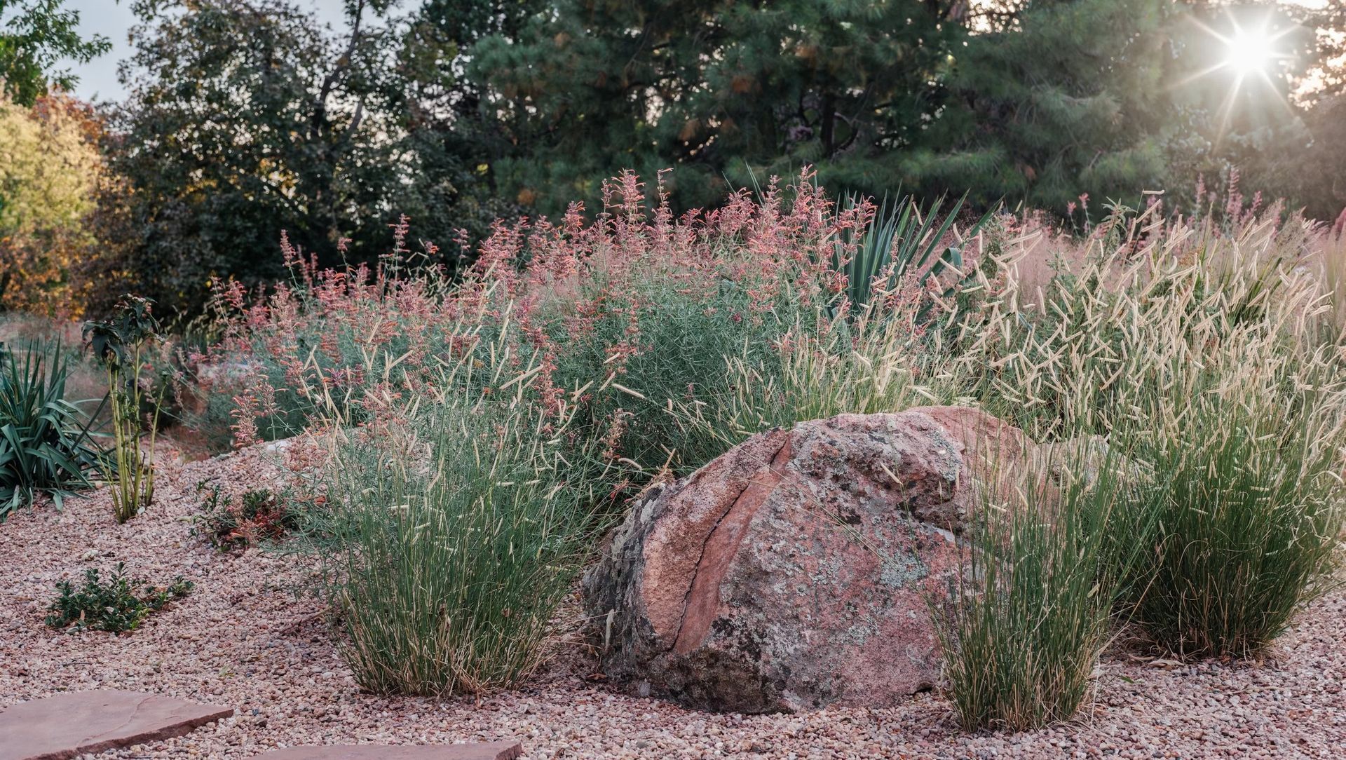 Yucca Yucca banner