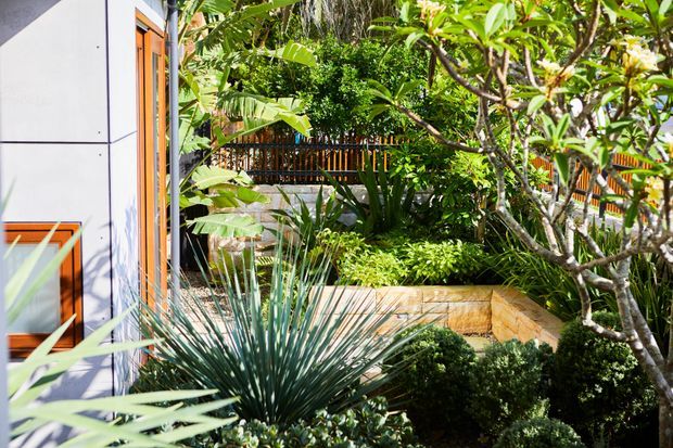 A lush landscaped courtyard beside a contemporary building, featuring dense tropical and architectural planting, clipped shrubs, a raised timber-clad planter or retaining wall, and a partially visible orange-framed glazed door or window set into pale panelled cladding. Warm sunlight creates strong highlights and shadows.