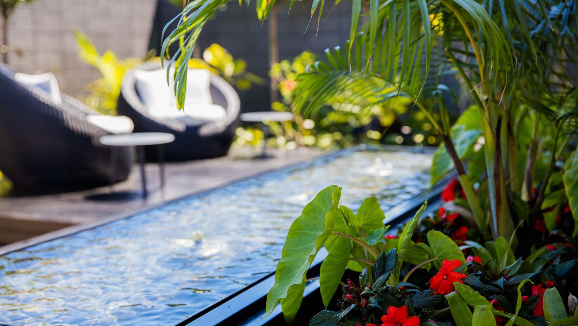 Courtyard Oasis, Hauraki banner