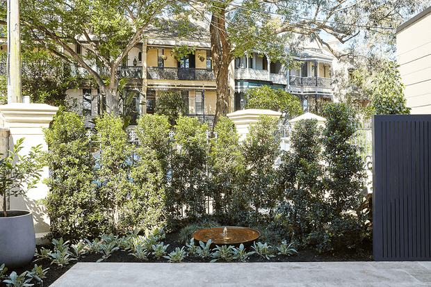 A landscaped residential courtyard or front garden viewed from a paved outdoor area. Dense hedging, sculpted shrubs, and low silver-green plantings sit beside a dark vertical-slat gate and pale rendered masonry walls. A timber outdoor table is partially visible among the planting, with a multi-storey traditional-style residential building beyond the garden.