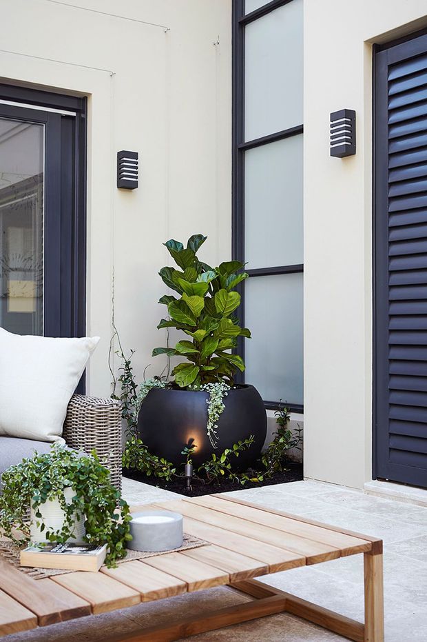 A contemporary outdoor courtyard or patio beside a modern home, featuring pale rendered walls, dark-framed glazing, a dark louvred door, wall-mounted exterior lights, a large black planter with lush greenery, and timber outdoor furniture with a white cushion and potted plants.