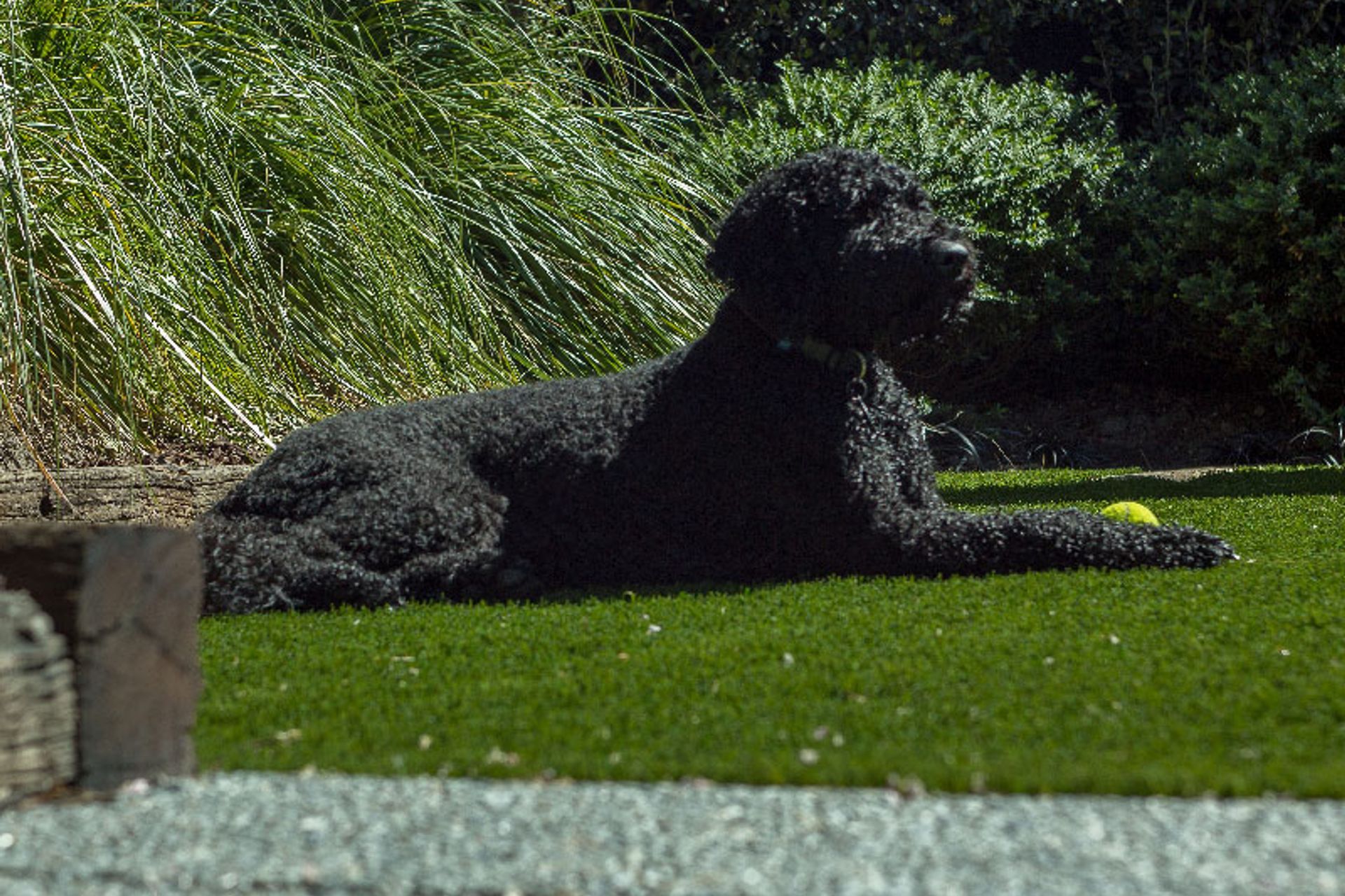 Urban Upgrade in Merivale