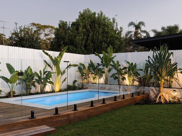 A landscaped residential backyard featuring a rectangular swimming pool with clear frameless glass safety fencing, timber decking and retaining edges, lush tropical planting, a white vertical-board boundary fence, and warm uplighting. A low dark-roofed structure is visible beyond the fence.