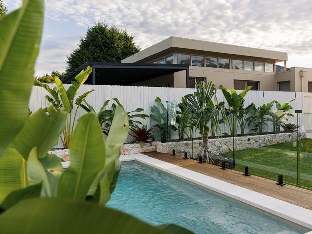 Exterior view of a contemporary two-storey residence with broad horizontal glazing and a flat roof, seen across a landscaped backyard. A rectangular swimming pool occupies the foreground, bordered by pale paving and timber decking, with lush tropical planting, a white privacy fence, stone retaining wall and a dark covered outdoor structure.
