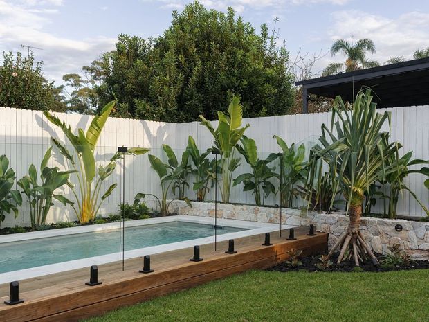 A landscaped backyard pool area with a narrow turquoise swimming pool, timber-edged raised deck, frameless glass safety balustrade, white vertical-panel boundary fencing, and lush tropical planting including palms and broad-leaf plants. A dark flat-roofed outdoor structure is visible at the rear.