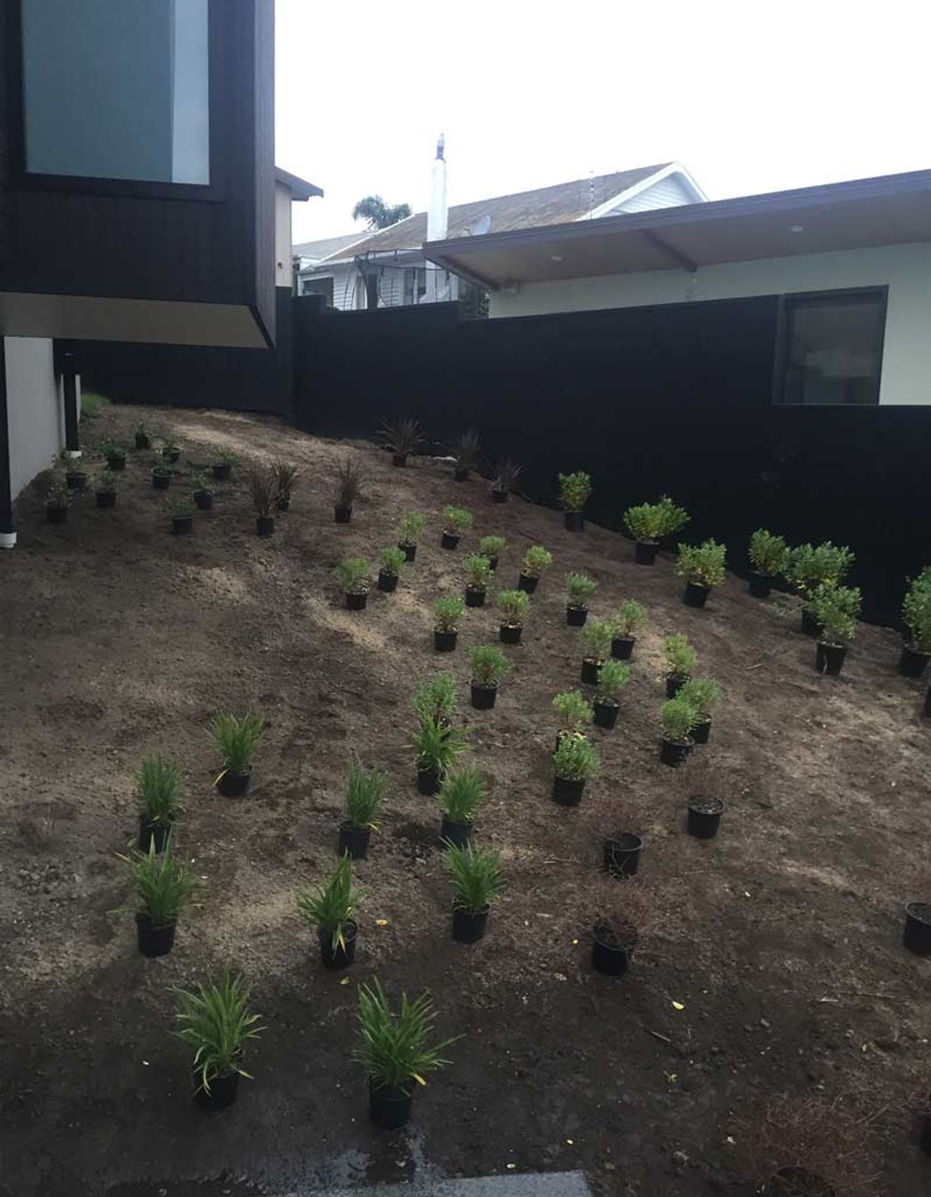 Native Planting Theme