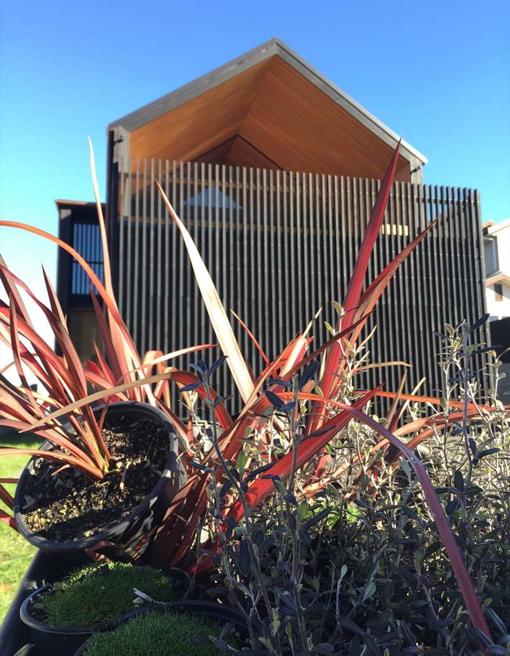 Soft Landscaping Design