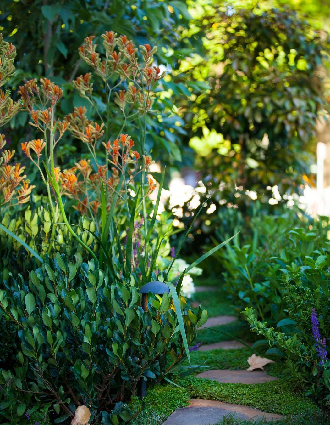 Photography: Leanne Bertram Photography